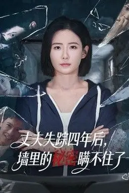 丈夫失踪四年后，墙里的秘密瞒不住了海报图片