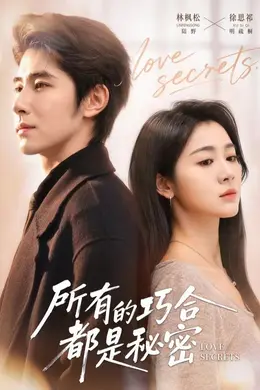 所有的巧合都是秘密（陆总夫人她只想离婚）封面图