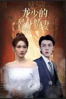 龙少的替身娇妻海报图片