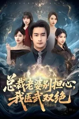 总裁老婆别担心，我医武双绝封面图