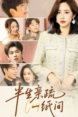 半生亲疏一纸间海报图片