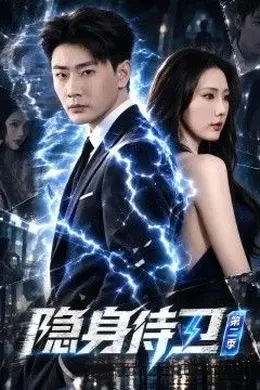 隐身侍卫第二季封面图