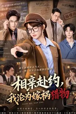 相亲赴约，我沦为嫁祸猎物封面图