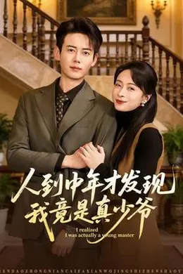 人到中年才发现我竟是真少爷海报图片