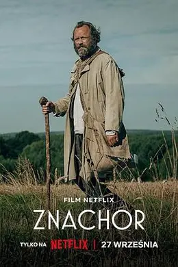 被遗忘的爱封面图