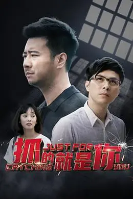 抓的就是你封面图