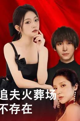 追夫火葬场不存在海报图片