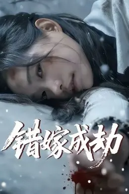 错嫁成劫海报图片