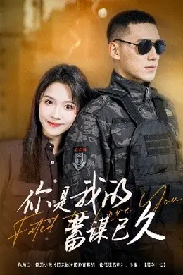 你是我的蓄谋已久海报图片