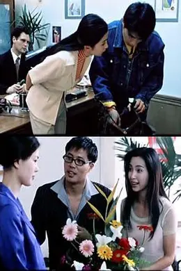 绿色柔情封面图