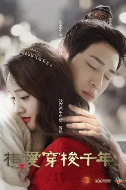 相爱穿梭千年封面图