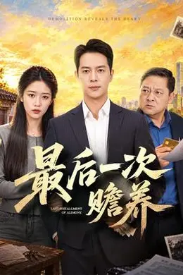 最后一次赡养封面图