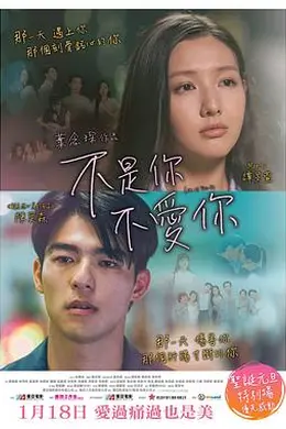 不是你不爱你封面图