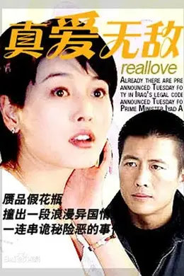 真爱无敌1999封面图