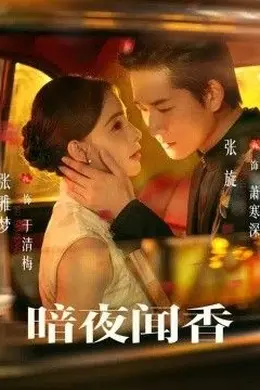 暗夜闻香封面图