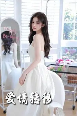 爱情转移海报图片