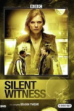 无声的证言第十二季封面图