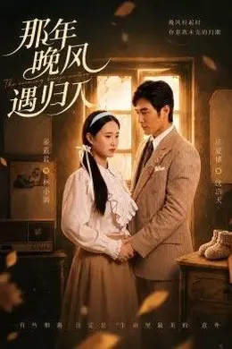 那年晚风遇归人封面图