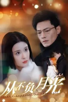 从不负月光海报图片