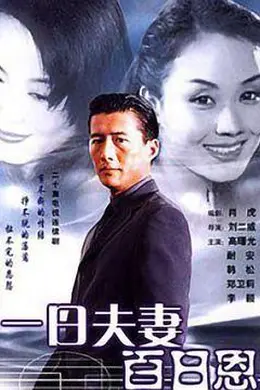 一日夫妻百日恩封面图