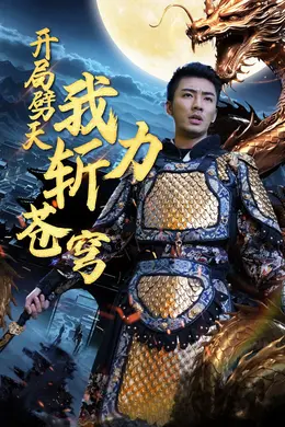 开局劈天我力斩苍穹海报图片
