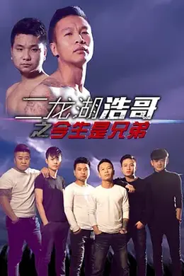 二龙湖浩哥之今生是兄弟封面图
