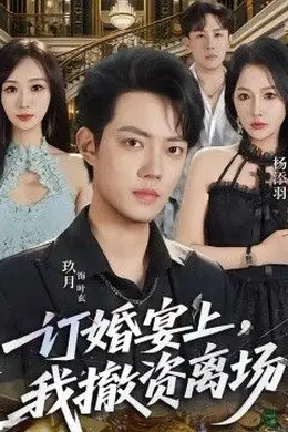 订婚宴上，我撤资离场封面图