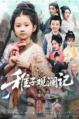 稚子观澜记海报图片