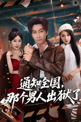 通知全国那个男人出狱了海报图片