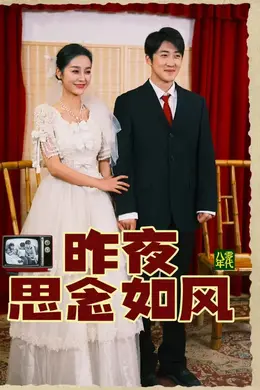 昨夜思念如风海报图片