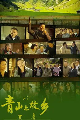 青山是故乡封面图