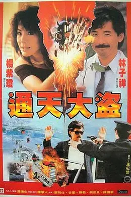 通天大盗封面图