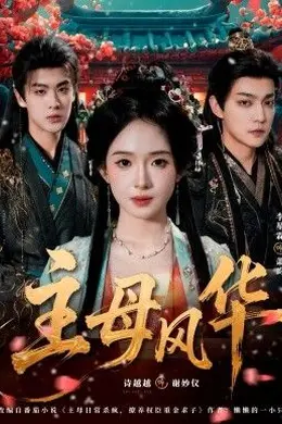主母风华海报图片