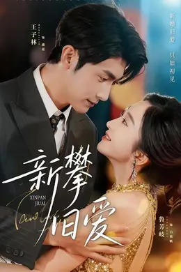 新攀旧爱海报图片