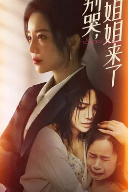 别哭，姐姐来了海报图片