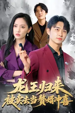 龙王归来：被卖去当赘婿冲喜海报图片