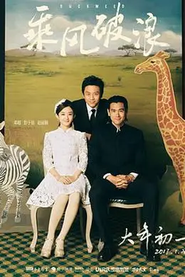 乘风破浪封面图