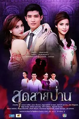 无尽的爱2013封面图