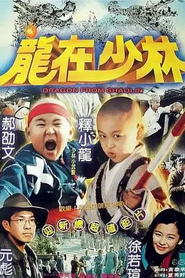 龙在少林封面图