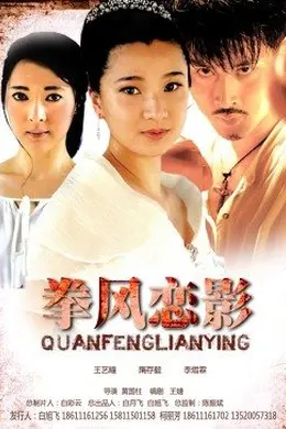 拳风恋影封面图