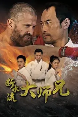 断水流大师兄封面图