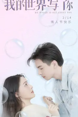 我的世界写了你封面图