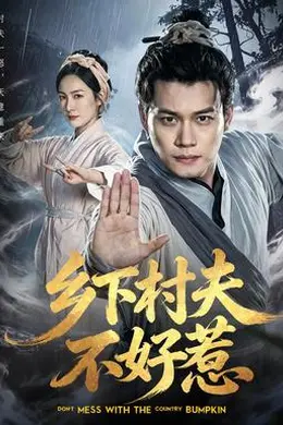 乡下村夫不好惹海报图片