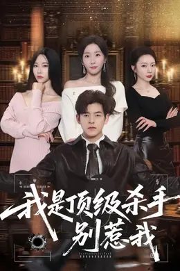 我是顶级杀手，别惹我海报图片