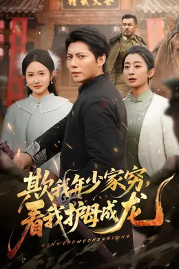 欺我年少家穷，看我护母成龙封面图