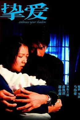 挚爱国语封面图