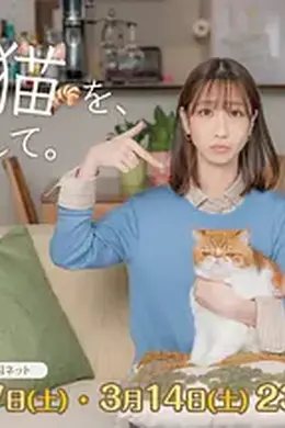 我收留了前男友的猫封面图