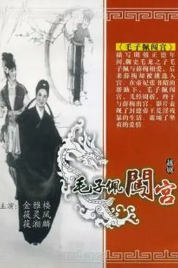 毛子佩闯宫海报图片