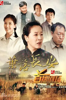 叶落长安封面图