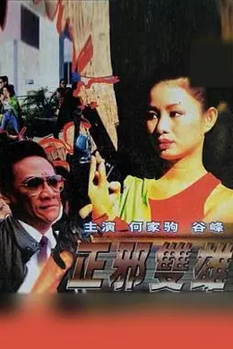 正邪双雄封面图